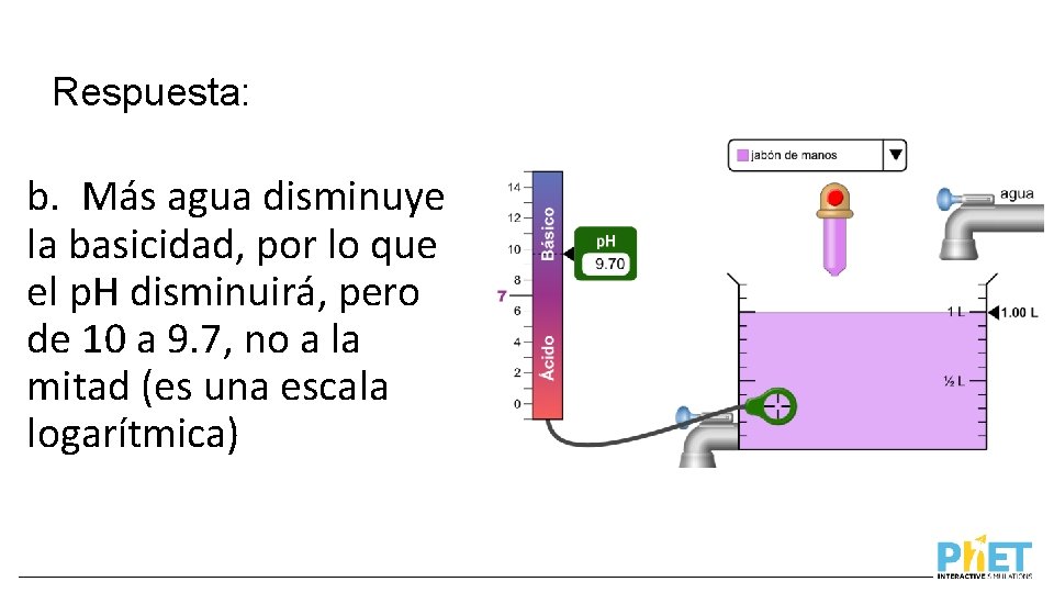 Respuesta: b. Más agua disminuye la basicidad, por lo que el p. H disminuirá,