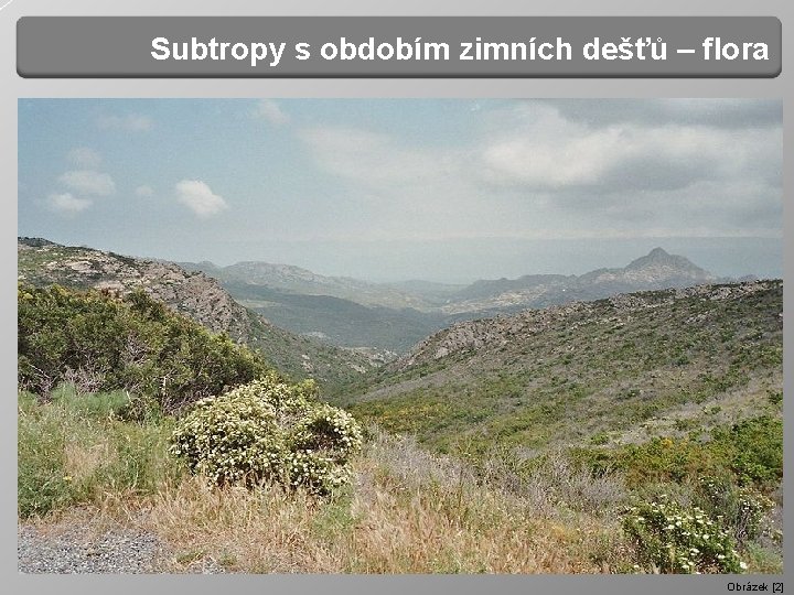 Subtropy s obdobím zimních dešťů – flora Obrázek [2] 