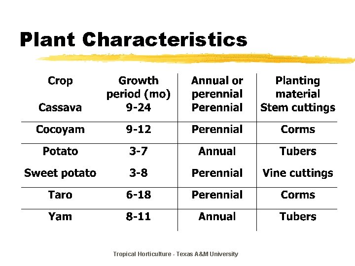Plant Characteristics Tropical Horticulture - Texas A&M University 