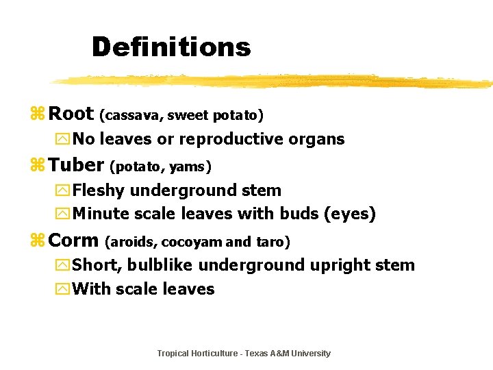 Definitions z Root (cassava, sweet potato) y. No leaves or reproductive organs z Tuber