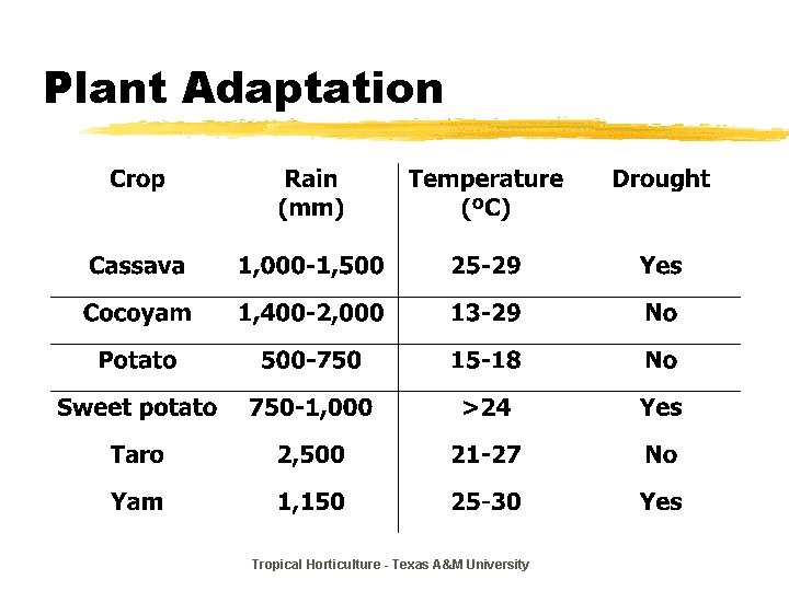 Plant Adaptation Tropical Horticulture - Texas A&M University 