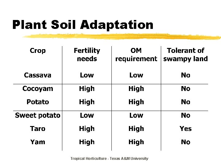Plant Soil Adaptation Tropical Horticulture - Texas A&M University 