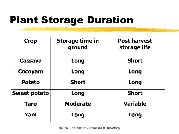 Plant Storage Duration Tropical Horticulture - Texas A&M University 