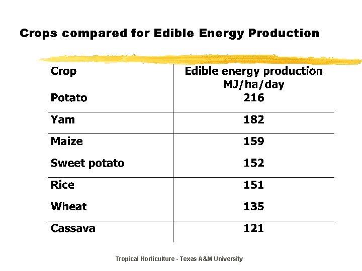 Crops compared for Edible Energy Production Tropical Horticulture - Texas A&M University 