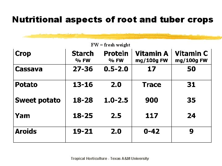 Nutritional aspects of root and tuber crops FW = fresh weight Tropical Horticulture -