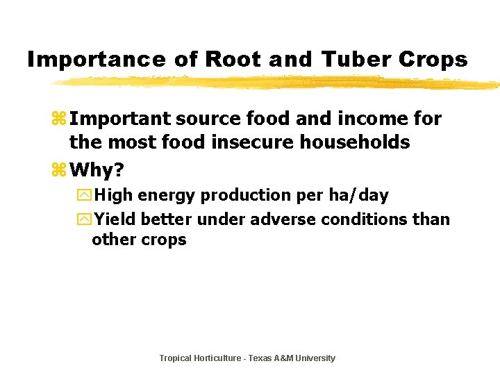 Importance of Root and Tuber Crops z Important source food and income for the