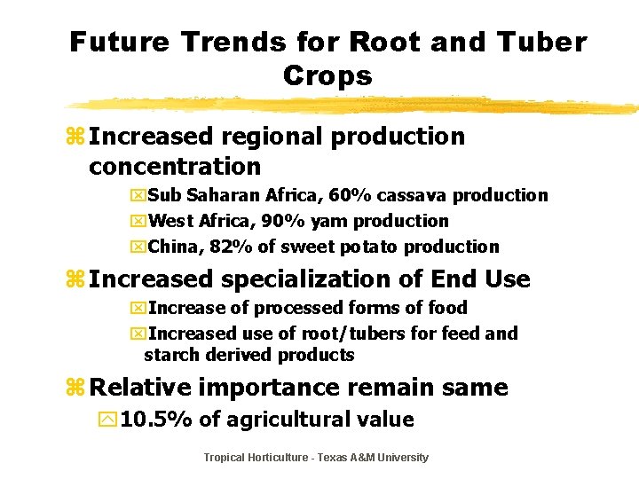 Future Trends for Root and Tuber Crops z Increased regional production concentration x. Sub