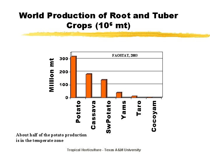 World Production of Root and Tuber Crops (106 mt) FAOSTAT, 2003 About half of