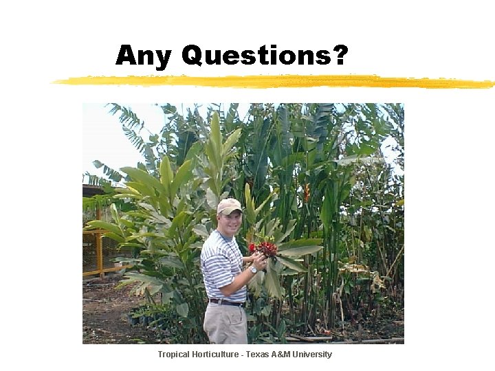 Any Questions? Tropical Horticulture - Texas A&M University 