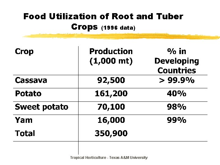 Food Utilization of Root and Tuber Crops (1996 data) Tropical Horticulture - Texas A&M