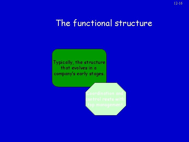 12 -16 The functional structure Typically, the structure that evolves in a company’s early