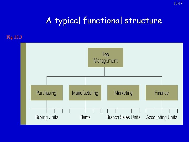 12 -17 A typical functional structure Fig 13. 3 