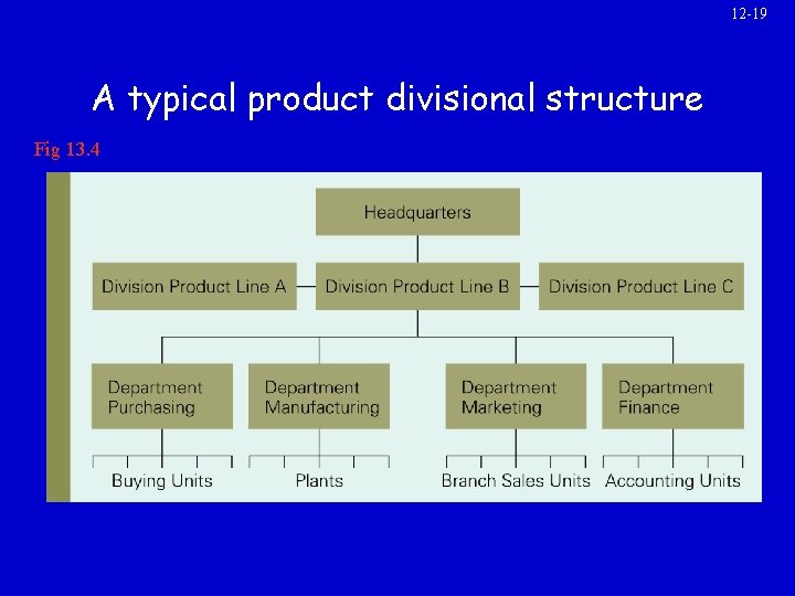 12 -19 A typical product divisional structure Fig 13. 4 