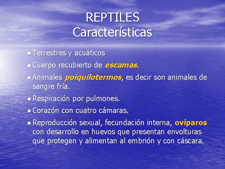 REPTILES Características · Terrestres y acuáticos · Cuerpo recubierto de escamas. · Animales poiquilotermos,
