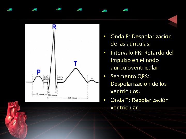 ELECTROCARDIOGRAMA Registro de la actividad eléctrica • Onda P: Despolarización del corazónde las aurículas.