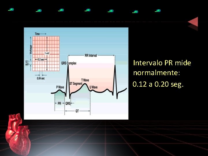 ELECTROCARDIOGRAMA • Intervalo PR mide normalmente: 0. 12 a 0. 20 seg. 