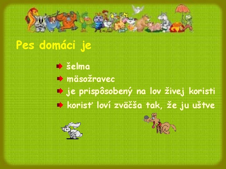 Pes domáci je šelma mäsožravec je prispôsobený na lov živej koristi korisť loví zväčša Pes domáci je šelma mäsožravec je prispôsobený na lov živej koristi korisť loví zväčša