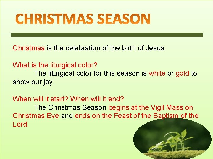 Christmas is the celebration of the birth of Jesus. What is the liturgical color?