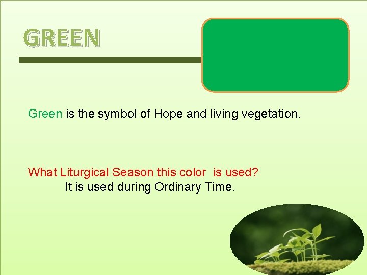GREEN Green is the symbol of Hope and living vegetation. What Liturgical Season this