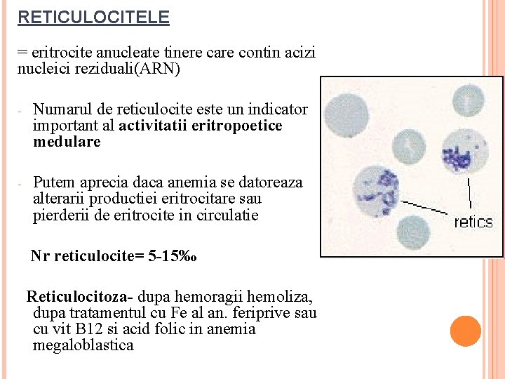RETICULOCITELE = eritrocite anucleate tinere care contin acizi nucleici reziduali(ARN) - Numarul de reticulocite