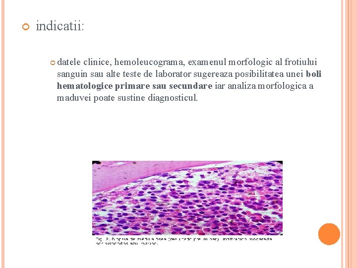  indicatii: datele clinice, hemoleucograma, examenul morfologic al frotiului sanguin sau alte teste de