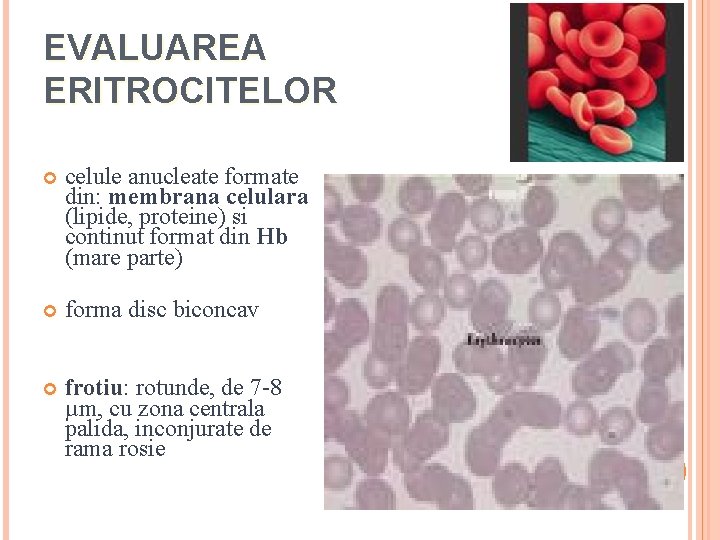 EVALUAREA ERITROCITELOR celule anucleate formate din: membrana celulara (lipide, proteine) si continut format din