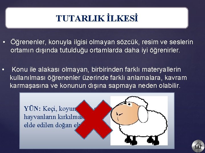 TUTARLIK İLKESİ • Öğrenenler, konuyla ilgisi olmayan sözcük, resim ve seslerin ortamın dışında tutulduğu