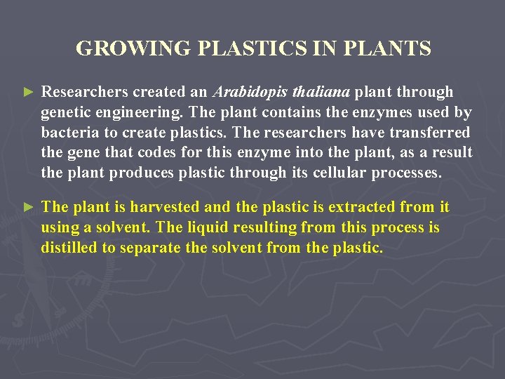 GROWING PLASTICS IN PLANTS ► Researchers created an Arabidopis thaliana plant through genetic engineering.