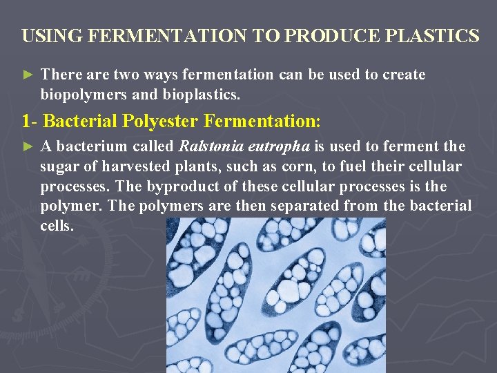 USING FERMENTATION TO PRODUCE PLASTICS ► There are two ways fermentation can be used