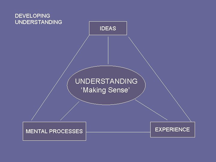 DEVELOPING UNDERSTANDING IDEAS UNDERSTANDING ‘Making Sense’ MENTAL PROCESSES EXPERIENCE 