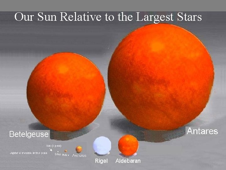 Our Sun Relative to the Largest Stars 