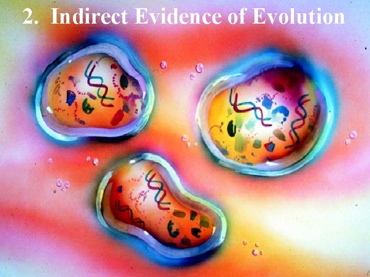 2. Indirect Evidence of Evolution 