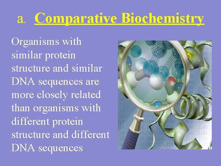 a. Comparative Biochemistry Organisms with similar protein structure and similar DNA sequences are more