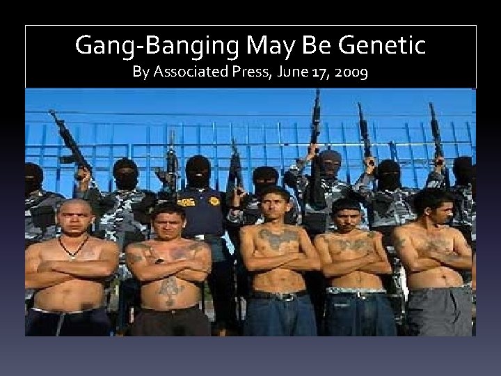 Gang-Banging May Be Genetic By Associated Press, June 17, 2009 