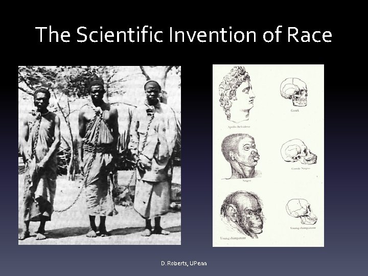 The Scientific Invention of Race D. Roberts, UPenn 