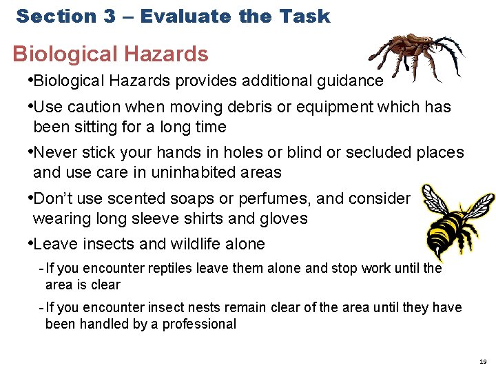 Section 3 – Evaluate the Task Biological Hazards • Biological Hazards provides additional guidance