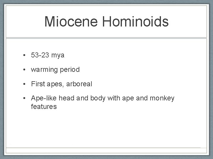 Miocene Hominoids • 53 -23 mya • warming period • First apes, arboreal •