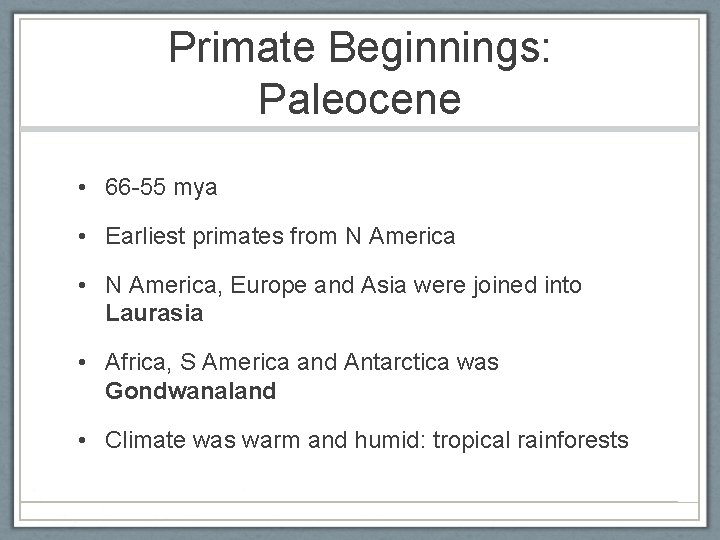 Primate Beginnings: Paleocene • 66 -55 mya • Earliest primates from N America •