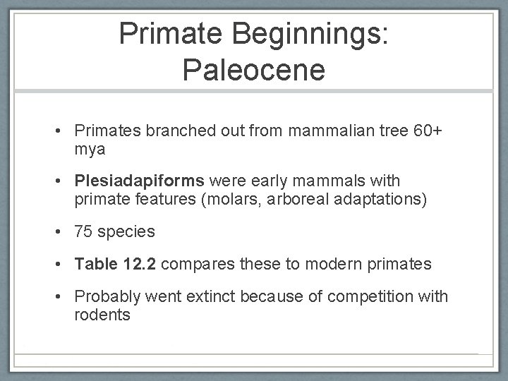 Primate Beginnings: Paleocene • Primates branched out from mammalian tree 60+ mya • Plesiadapiforms