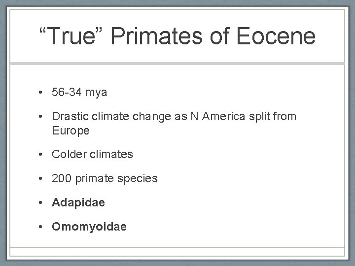 “True” Primates of Eocene • 56 -34 mya • Drastic climate change as N