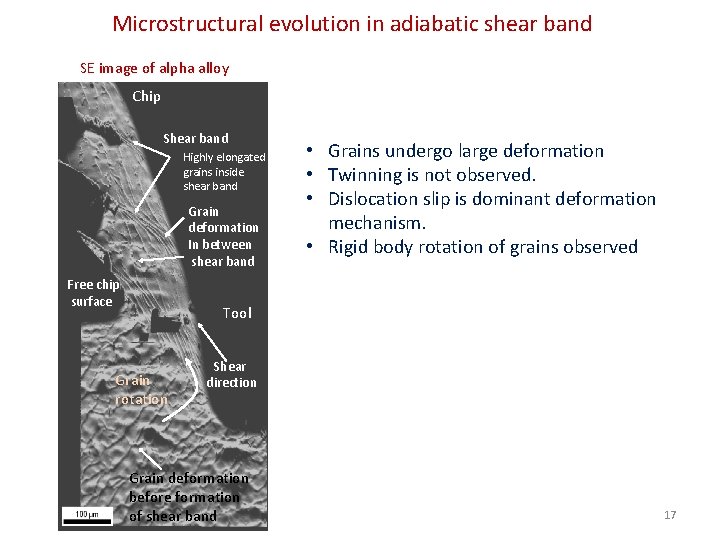 Microstructural evolution in adiabatic shear band SE image of alpha alloy Chip Shear band
