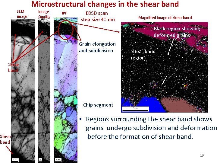 SEM image Microstructural changes in the shear band Image Quality IPF EBSD scan step