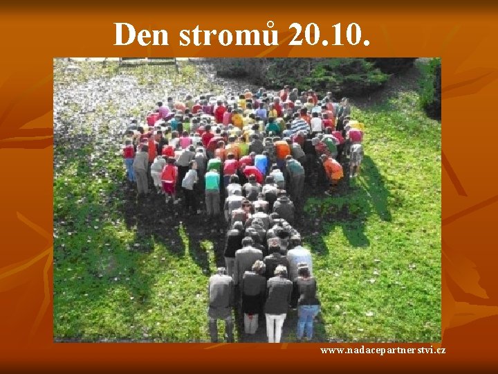 Den stromů 20. 10. www. nadacepartnerstvi. cz 