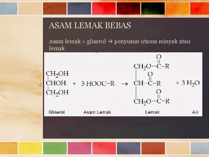 ASAM LEMAK BEBAS Asam lemak + gliserol penyusun utama minyak atau lemak 