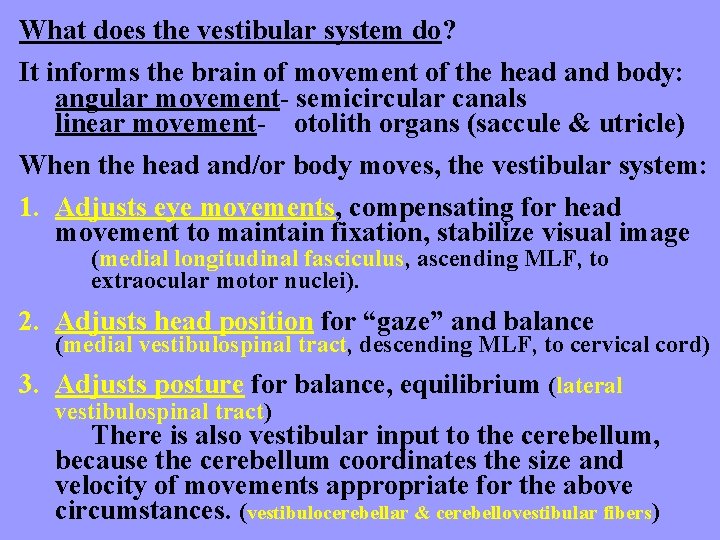 What does the vestibular system do? It informs the brain of movement of the