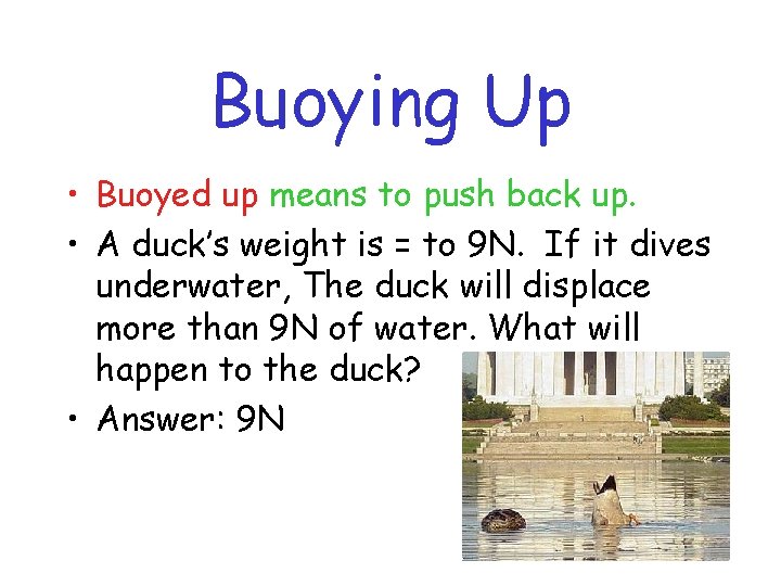 Buoying Up • Buoyed up means to push back up. • A duck’s weight