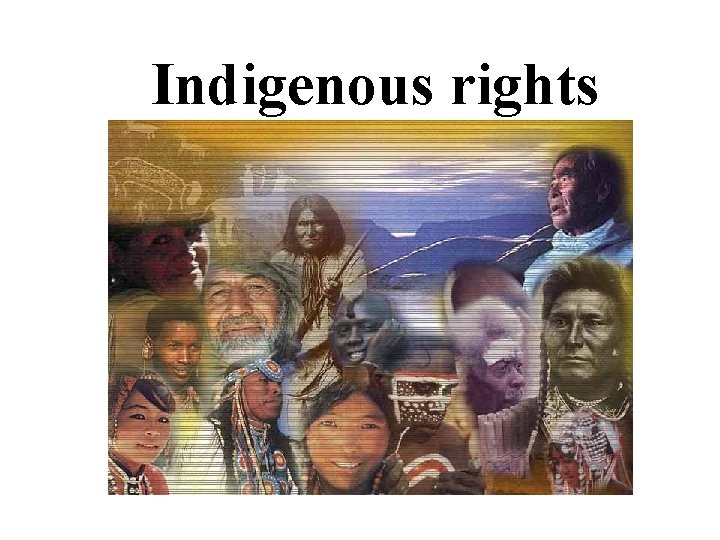 Indigenous rights 