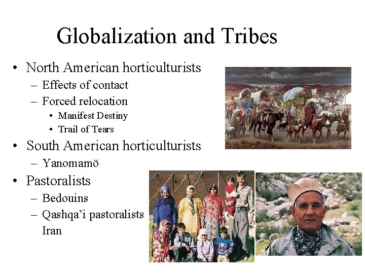 Globalization and Tribes • North American horticulturists – Effects of contact – Forced relocation