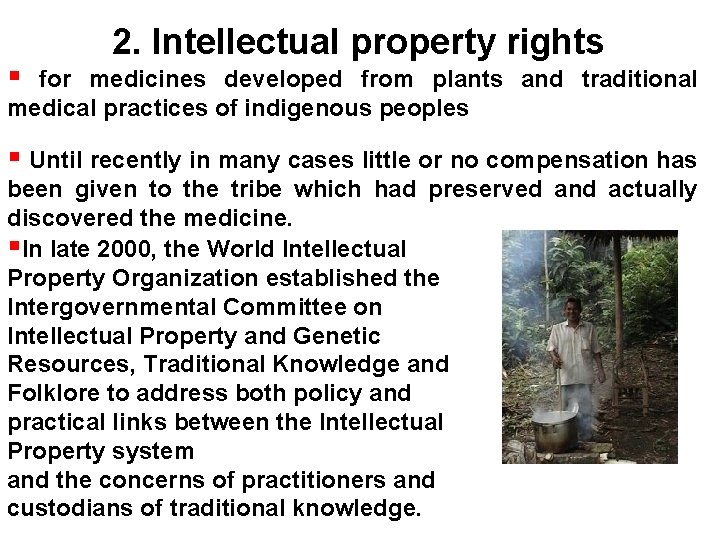  2. Intellectual property rights for medicines developed from plants and traditional medical practices