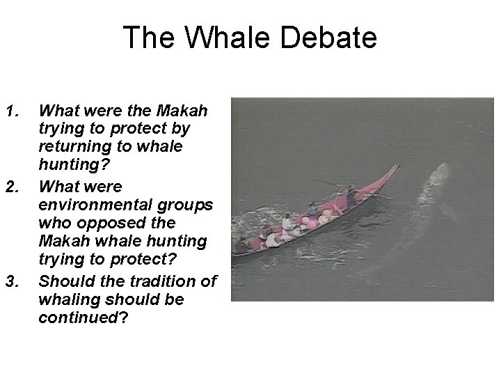 The Whale Debate 1. 2. 3. What were the Makah trying to protect by